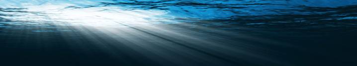 Blue underwater scene with sunlight filtering from above